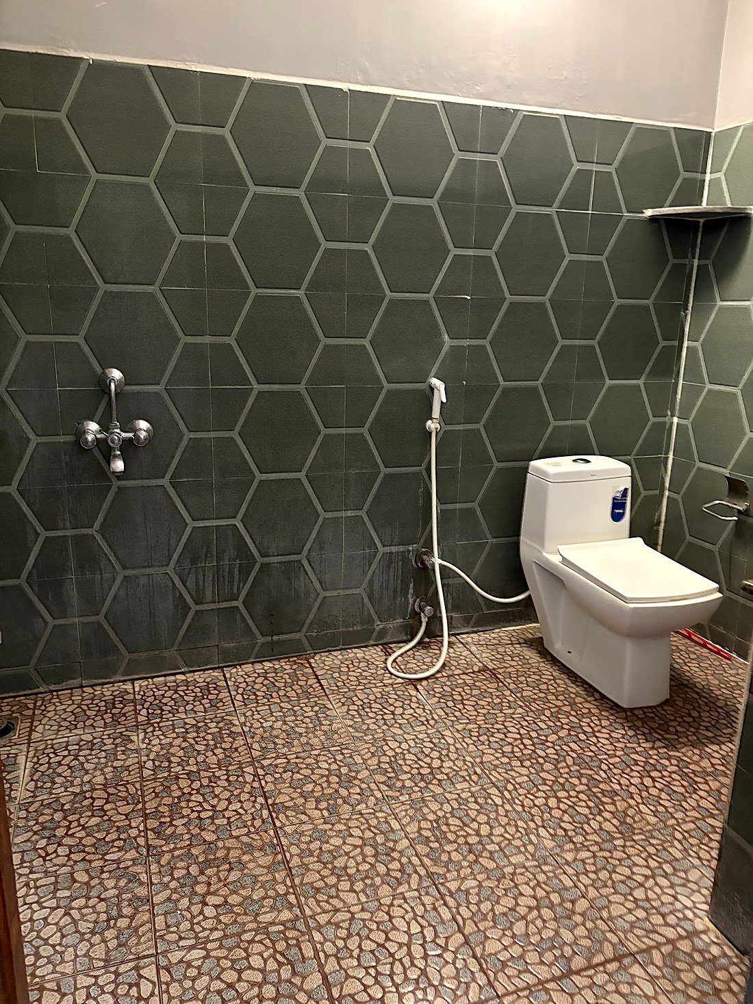 Attached bathroom with toilet and shower