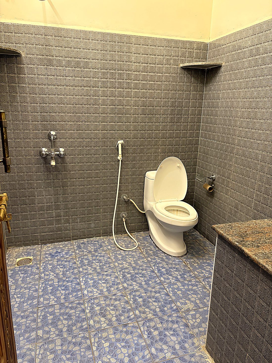 Attached bathroom with toilet and shower